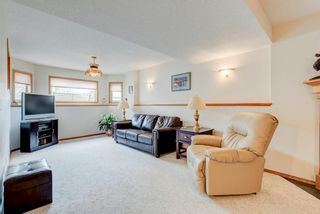 Photo 25: 28 Thorndale Close SE: Airdrie Detached for sale : MLS®# A1232891