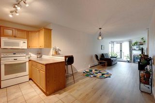 Photo 9: 6 635 Marsh Road NE in Calgary: Bridgeland/Riverside Apartment for sale : MLS®# A2065429