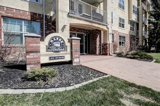 Photo 33: 203 2212 34 Avenue SW in Calgary: South Calgary Apartment for sale : MLS®# A1212448