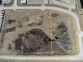 Photo 1: 7 32532 Range Road 42: Rural Mountain View County Industrial Land for sale : MLS®# A2107599