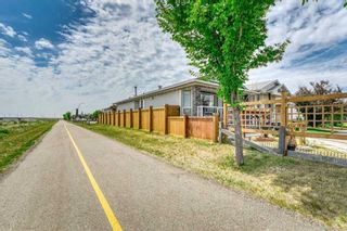 Photo 5: 71 APPLEMEAD Close in Calgary: Applewood Park Detached for sale : MLS®# A2055936