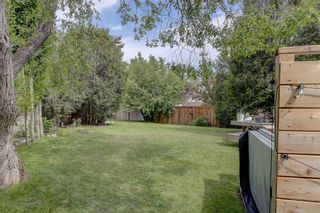 Photo 41: 31 Coachwood Place SW in Calgary: Coach Hill Detached for sale : MLS®# A1235197