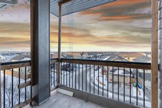 Photo 26: 410 7110 80 ave Avenue NE in Calgary: Saddle Ridge Apartment for sale : MLS®# A2017369
