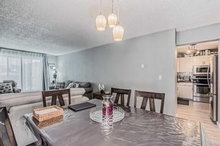 Photo 17: 207 647 1 Avenue NE in Calgary: Bridgeland/Riverside Apartment for sale : MLS®# A2105689