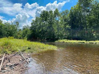 Photo 9: Lot E. Fraser Cross Road in Rocklin: 108-Rural Pictou County Vacant Land for sale (Northern Region)  : MLS®# 202315970