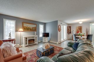 Photo 10: 2119 6224 17 Avenue SE in Calgary: Red Carpet Apartment for sale : MLS®# A2011902