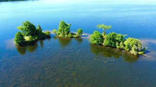 Photo 1: Lt 1 Canal Lake in Kawartha Lakes: Rural Carden Property for sale : MLS®# X5635905