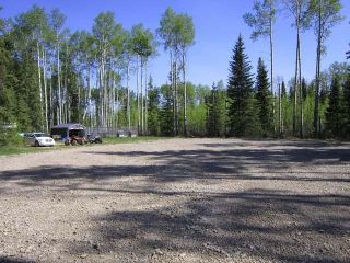 Photo 41: 8235 Glenwood Drive Drive in Edson: Glenwood Country Residential for sale : MLS®# 30297