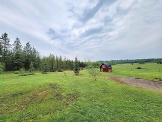 Photo 27: 18125 ROBYN Way in Prince George: Blackwater House for sale (PG Rural West)  : MLS®# R2781176