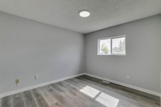Photo 20: 323 Erin Woods Green SE in Calgary: Erin Woods Detached for sale : MLS®# A1219401