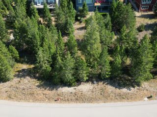 Photo 23: Lot 14 - 7078 WHITE TAIL LANE in Radium Hot Springs: Vacant Land for sale : MLS®# 2466383