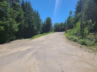 Photo 4: Lot 62 Terrace Place, in Blind Bay: Vacant Land for sale : MLS®# 10253125