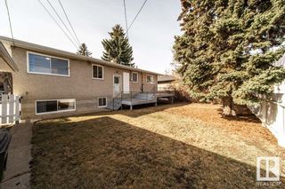 Photo 36: 10416 66 Avenue in Edmonton: Zone 15 House for sale : MLS®# E4382373