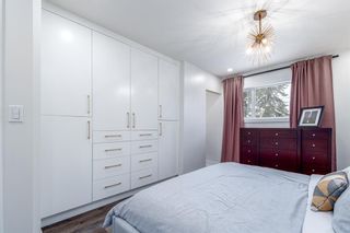 Photo 15: 9703 3 Street SE in Calgary: Acadia Detached for sale : MLS®# A2008850