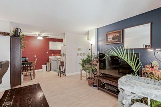 Photo 3: 202 1824 11 Avenue SW in Calgary: Sunalta Apartment for sale : MLS®# A2050077