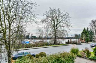 Photo 17: 1219 SOUTH DYKE Road in New Westminster: Queensborough House for sale : MLS®# R2238163