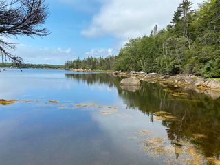 Photo 2: Scott's Point Road in East Dover: 40-Timberlea, Prospect, St. Marg Vacant Land for sale (Halifax-Dartmouth)  : MLS®# 202202668