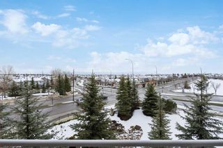 Photo 26: 317 15 Everstone Drive SW in Calgary: Evergreen Apartment for sale : MLS®# A2128303