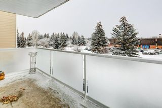 Photo 13: 304 3747 42 Street NW in Calgary: Varsity Apartment for sale : MLS®# A2018225