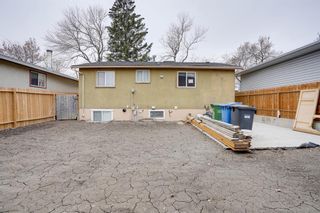 Photo 5: 3053 29A Street SE in Calgary: Dover Detached for sale : MLS®# A2042265
