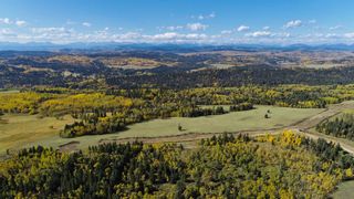 Photo 1: Lot 5 256 Street W: Priddis Residential Land for sale : MLS®# A1175523