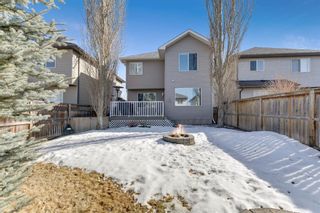 Photo 44: 233 Cranfield Manor SE in Calgary: Cranston Detached for sale : MLS®# A1184626