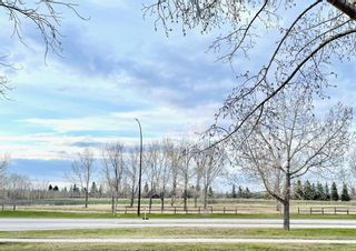 Photo 43: 3344 Palliser Drive SW in Calgary: Oakridge Detached for sale : MLS®# A2114409