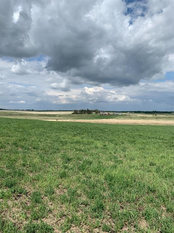 Photo 19: Photos: 62 ac Corner of Hwy 552 306 Ave West (Strathcona  School/Polo Club): Rural Foothills County Residential Land for sale : MLS®# A1227910