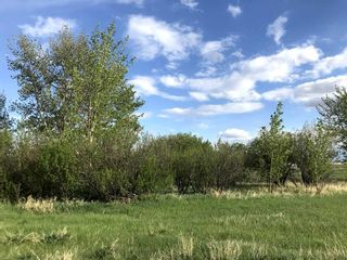Photo 5: Range Road 264: Rural Wheatland County Residential Land for sale : MLS®# A2108486