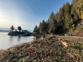 Photo 37: 1574 SMITH Road in Gibsons: Gibsons & Area House for sale (Sunshine Coast)  : MLS®# R2742640