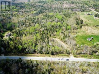 Photo 7: -- 735 Route in Scotch Ridge: Vacant Land for sale : MLS®# NB087049