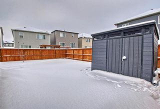 Photo 5: 8 Cityscape Place NE in Calgary: Cityscape Detached for sale : MLS®# A2103363