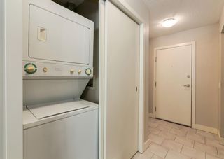 Photo 13: 158 35 Richard Court SW in Calgary: Lincoln Park Apartment for sale : MLS®# A1096468