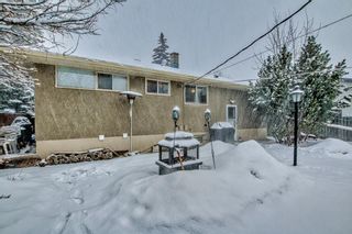 Photo 42: 3108 36 Avenue SW in Calgary: Rutland Park Detached for sale : MLS®# A2020816