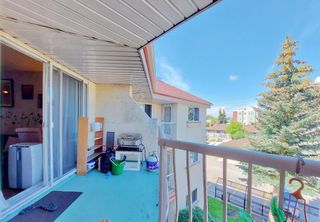 Photo 25: 307 1715 35 Street SE in Calgary: Albert Park/Radisson Heights Apartment for sale : MLS®# A2017879