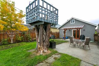 Photo 17: 3617 ADANAC Street in Vancouver: Renfrew VE House for sale in "RENFREW/ADANAC AREA" (Vancouver East)  : MLS®# R2007619