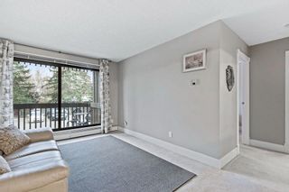 Photo 7: 50 366 94 Avenue SE in Calgary: Acadia Apartment for sale : MLS®# A2009495