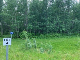 Photo 5: 70 47411 RR14: Rural Leduc County Rural Land/Vacant Lot for sale : MLS®# E4273719