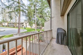 Photo 12: 96 2915 NORMAN Avenue in Coquitlam: Ranch Park Townhouse for sale in "PARKWOOD" : MLS®# R2773271