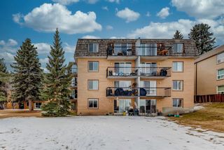 Photo 35: 42 528 Cedar Crescent SW in Calgary: Spruce Cliff Apartment for sale : MLS®# A1191210