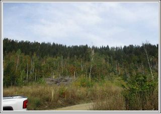 Photo 2: S1/2NW1/4 Leopold Road in Celista: Land for sale : MLS®# 10265870
