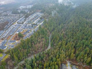 Photo 13: 13800 236 Street in Maple Ridge: Silver Valley Land for sale in "Forest Hamlet Eco Cluster Silver Valley" : MLS®# R2853658