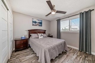Photo 21: 2711 46 Street SE in Calgary: Dover Semi Detached (Half Duplex) for sale : MLS®# A2123114
