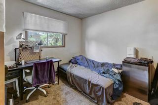 Photo 15: B 419 Marten Street: Banff Semi Detached (Half Duplex) for sale : MLS®# A2074227