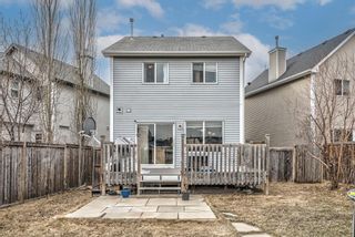 Photo 41: 117 Prestwick Rise SE in Calgary: McKenzie Towne Detached for sale : MLS®# A1242668