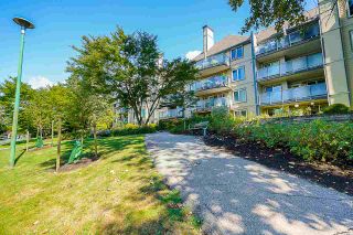 Photo 38: 421 6707 SOUTHPOINT Drive in Burnaby: South Slope Condo for sale in "MISSION WOODS" (Burnaby South)  : MLS®# R2514266
