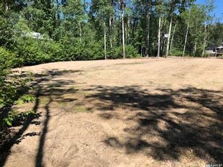 Photo 11: 105 Brown Street in Emma Lake: Lot/Land for sale : MLS®# SK924699