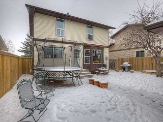 Photo 15: 99 SUMMERWOOD Road SE: Airdrie Residential Detached Single Family for sale : MLS®# C3651667