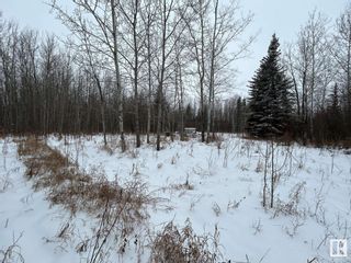 Photo 7: 18 Pinebrook Estates: Rural Thorhild County Vacant Lot/Land for sale : MLS®# E4372237