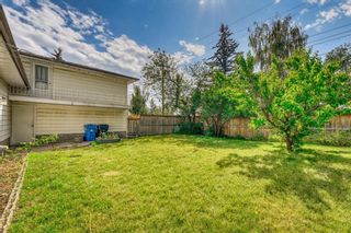 Photo 6: 2232 Longridge Drive SW in Calgary: North Glenmore Park Detached for sale : MLS®# A2077526